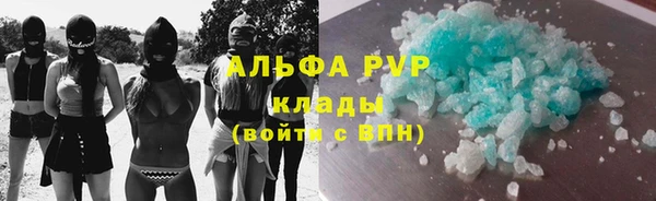 мдпв Ельня