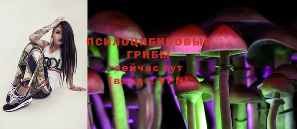 не бодяженный Краснослободск
