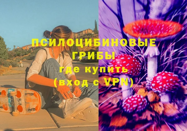 крисы Абдулино