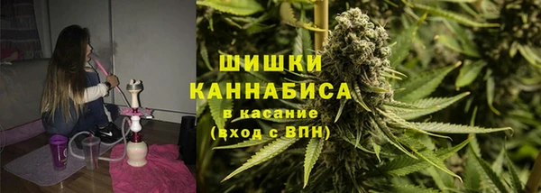 крисы Абдулино