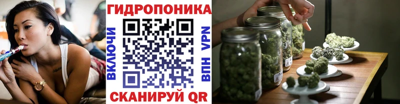 Бошки Шишки Amnesia  Североморск 